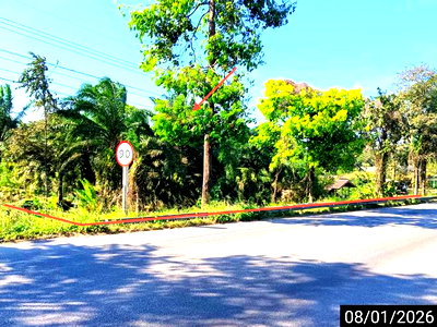 ขายที่ดิน : ที่ดินว่างเปล่า 2464 ตร.วา ท่าแซะ ชุมพร 6.1M