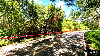 ขายที่ดิน : ที่ดินว่างเปล่า 5860 ตร.วา เมืองบึงกาฬ บึงกาฬ 4.6M