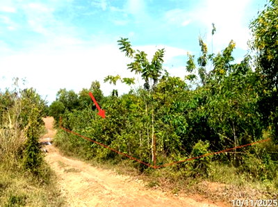 ขายที่ดิน : ที่ดินว่างเปล่า 1290 ตร.วา ร้องกวาง แพร่ 228,000