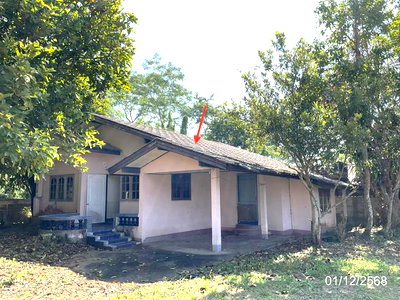 บ้านเดี่ยว พาน เชียงราย : บ้านเดี่ยว 220.2 ตร.วา พาน เชียงราย 1.5M