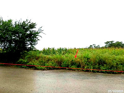 ขายที่ดิน : ที่ดินว่างเปล่า 882 ตร.วา ภูริพิมาน ปากช่อง นครราชสีมา 4M