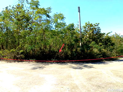 ขายที่ดิน : ที่ดินว่างเปล่า 400 ตร.วา โครงการภูริพิมาน ปากช่อง นครราชสีมา 1.7M
