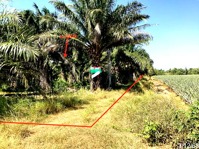 ที่ดินว่างเปล่า 9767.2 ตร.วา เมืองประจวบคีรีขันธ์ ประจวบคีรีขันธ์ 3.9M