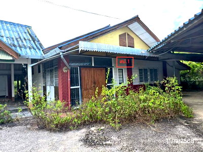 บ้านเดี่ยว รวมโชค มอลล์ : บ้านเดี่ยว 1272 ตร.วา สันทราย เชียงใหม่ 18.8M