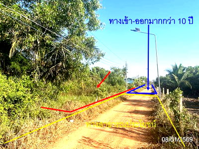 ขายที่ดิน : ที่ดินว่างเปล่า 200 ตร.วา เมืองฉะเชิงเทรา ฉะเชิงเทรา 1.5M
