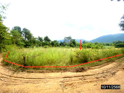 ขายที่ดิน : ที่ดินว่างเปล่า 3408 ตร.วา เมืองเลย เลย 2.4M
