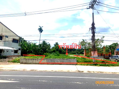 ขายที่ดิน : ที่ดินว่างเปล่า 442 ตร.วา กาญจนดิษฐ์ สุราษฎร์ธานี 1.9M