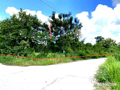 ที่ดิน วิทยาลัยพยาบาลศรีมหาสารคาม : ที่ดินว่างเปล่า 648 ตร.วา เมืองมหาสารคาม มหาสารคาม 3M