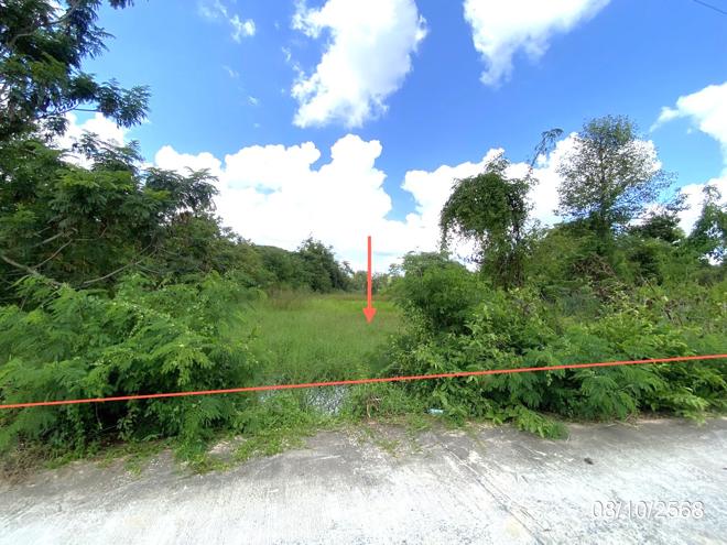 รูป ที่ดินว่างเปล่า 648 ตร.วา เมืองมหาสารคาม มหาสารคาม 3M - รูปที่ 2/17