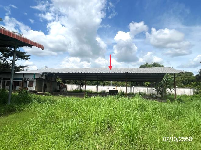 รูป โกดัง 3476 ตร.วา วังทอง พิษณุโลก 14.4M - รูปที่ 18/45