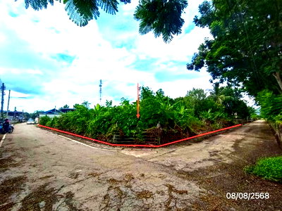 ขายที่ดิน : ที่ดินว่างเปล่า 349.3 ตร.วา ดอกคำใต้ พะเยา 1.2M