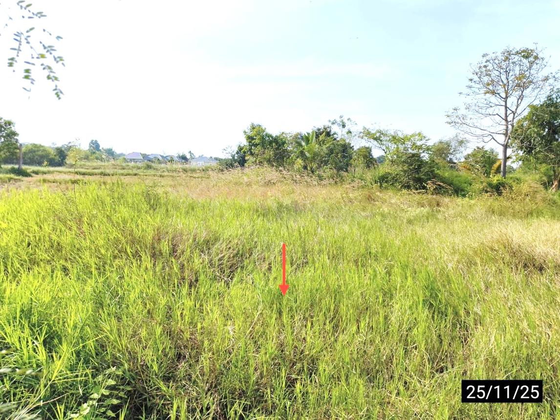 รูป ที่ดินว่างเปล่า 171 ตร.วา เมืองขอนแก่น ขอนแก่น 684,000 - รูปที่ 12/17