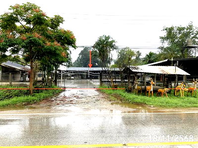 Houses for sale Chiang Rai : HOME 3565 Sq.w. Wieng Kaen Chiang Rai for 14.3M