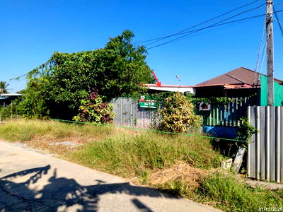 Houses for sale : HOME 102 Sq.w. Samko Angthong for 1.8M