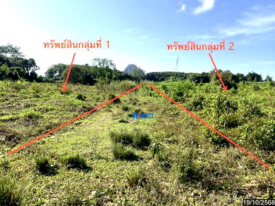 ขายที่ดิน : ที่ดินว่างเปล่า 7399 ตร.วา เวียงชัย เชียงราย 4.4M