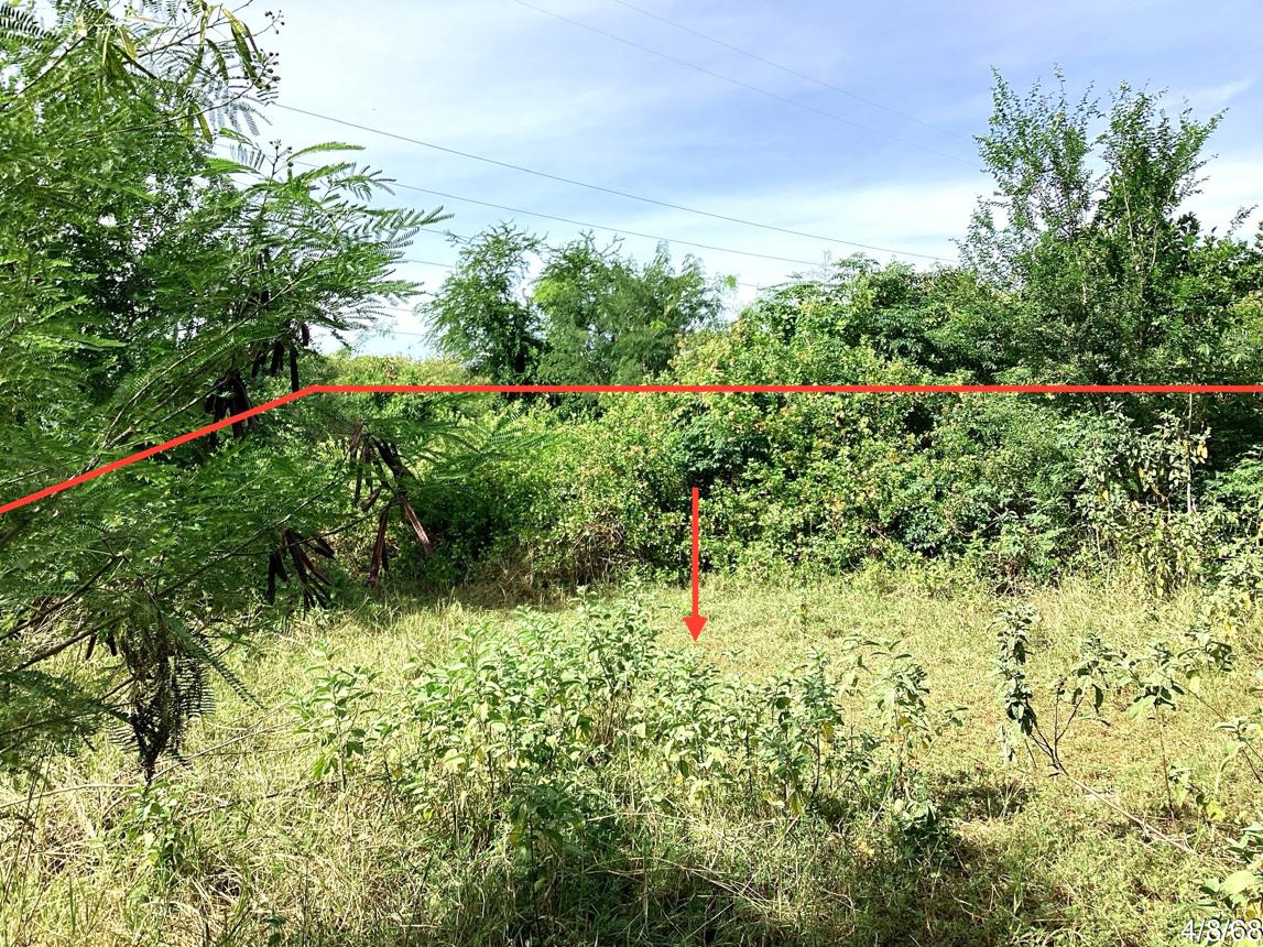 รูป ที่ดินว่างเปล่า 285.3 ตร.วา ปราณบุรี ประจวบคีรีขันธ์ 1.5M - รูปที่ 12/17