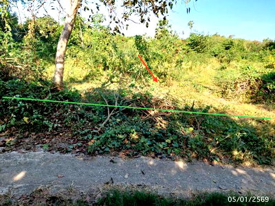 ขายที่ดิน : ที่ดินว่างเปล่า 2666 ตร.วา ป่าโมก อ่างทอง 2.4M
