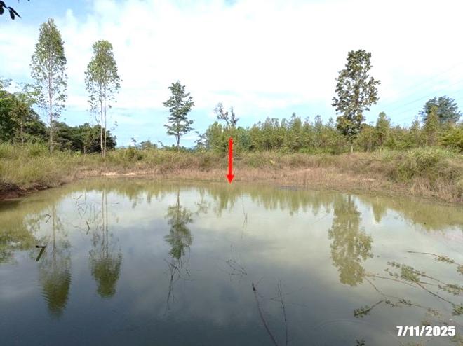 รูป ที่ดินว่างเปล่า 7878 ตร.วา ศรีบุญเรือง หนองบัวลำภู 914,000 - รูปที่ 9/25