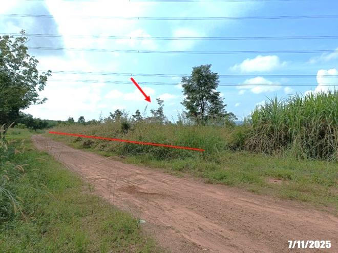 รูป ที่ดินว่างเปล่า 7878 ตร.วา ศรีบุญเรือง หนองบัวลำภู 914,000 - รูปที่ 6/25