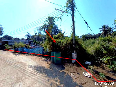 Land for sale Chiang Mai : LAND 466.6 Sq.w. Fang Chiang Mai for 1.2M