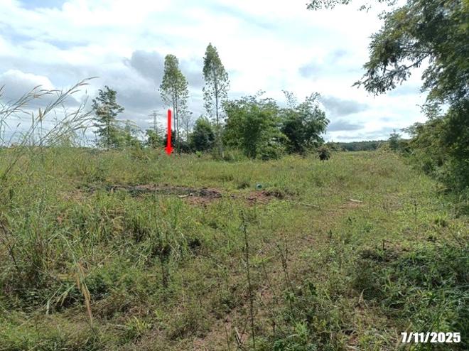 รูป ที่ดินว่างเปล่า 7878 ตร.วา ศรีบุญเรือง หนองบัวลำภู 914,000 - รูปที่ 8/25