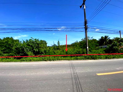 Land for sale Satun : LAND 5800 Sq.w. Muang Satun Satun for 13.6M