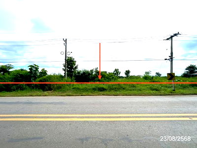 Land for sale Phetchabun : LAND 3368 Sq.w. Chon Daen Phetchabun for 5.1M