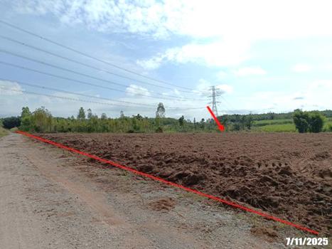 รูป ที่ดินว่างเปล่า 7878 ตร.วา ศรีบุญเรือง หนองบัวลำภู 914,000 - รูปที่ 22/25