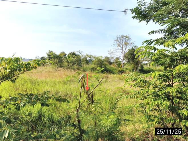รูป ที่ดินว่างเปล่า 171 ตร.วา เมืองขอนแก่น ขอนแก่น 684,000 - รูปที่ 5/17