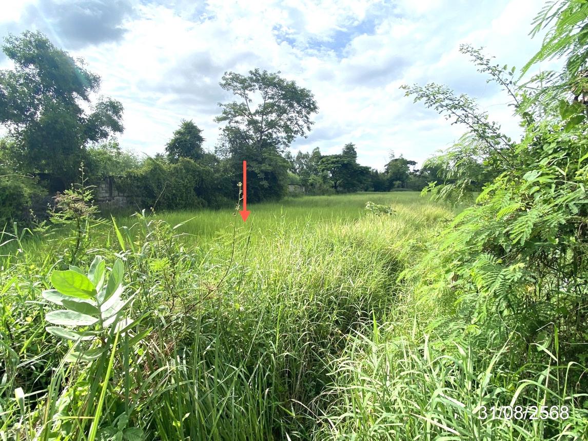 รูป ที่ดินว่างเปล่า 791.6 ตร.วา เมืองมหาสารคาม มหาสารคาม 4.9M - รูปที่ 13/17