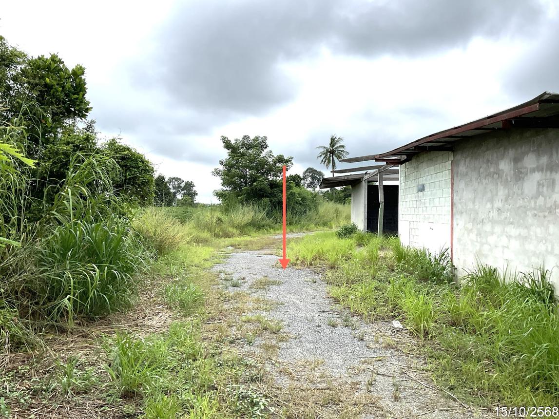 รูป บ้านเดี่ยว 609 ตร.วา ลาดยาว นครสวรรค์ 1.1M - รูปที่ 41/45