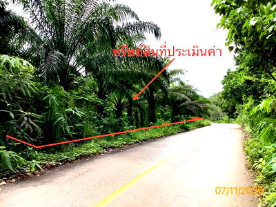 LAND 5099.1 Sq.w. Palian Trang for 3.9M