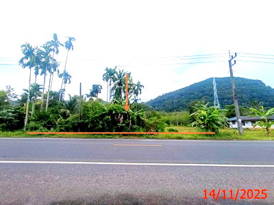 Land for sale Satun : LAND 347 Sq.w. Khuan Don Satun for 1.4M