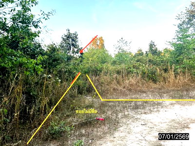 ขายที่ดิน : ที่ดินว่างเปล่า 533.1 ตร.วา เมืองอุบลราชธานี อุบลราชธานี 1.6M