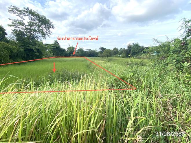 รูป ที่ดินว่างเปล่า 791.6 ตร.วา เมืองมหาสารคาม มหาสารคาม 4.9M - รูปที่ 5/17