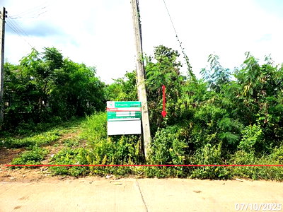 Land for sale Phetchabun : LAND 150 Sq.w. Wichian Buri Phetchabun for 290,000
