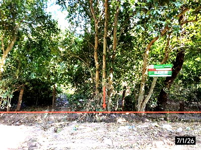 ที่ดิน ขอนแก่น : ที่ดินว่างเปล่า 381 ตร.วา พระยืน ขอนแก่น 762,000