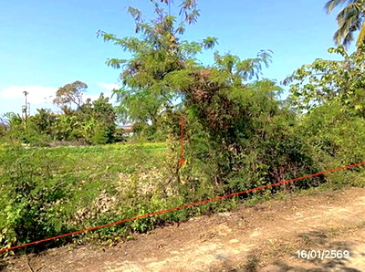 ขายที่ดิน : ที่ดินว่างเปล่า 906.9 ตร.วา แม่ลาว เชียงราย 1.9M