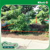 listing thumbnail image 14