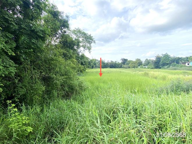 รูป ที่ดินว่างเปล่า 791.6 ตร.วา เมืองมหาสารคาม มหาสารคาม 4.9M - รูปที่ 6/17