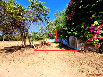 ขายที่ดิน : ที่ดินว่างเปล่า 1733 ตร.วา ปักธงชัย นครราชสีมา 704,000