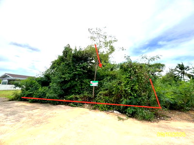 Land for sale Ratchaburi Transport Station : LAND 67.6 Sq.w. Muang Ratchaburi Ratchburi for 1.2M