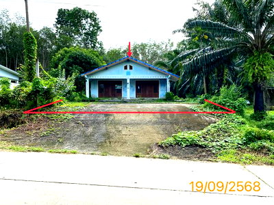 บ้านเดี่ยว กระบี่ : บ้านเดี่ยว 208 ตร.วา คลองท่อม กระบี่ 3.6M