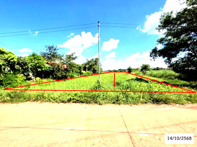 ขายที่ดิน : ที่ดินว่างเปล่า 1223 ตร.วา พังโคน สกลนคร 801,000