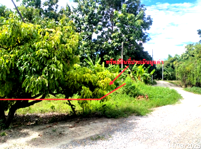 Land for sale Chiang Mai : LAND 2515 Sq.w. Chom Thong Chiang Mai for 4.2M