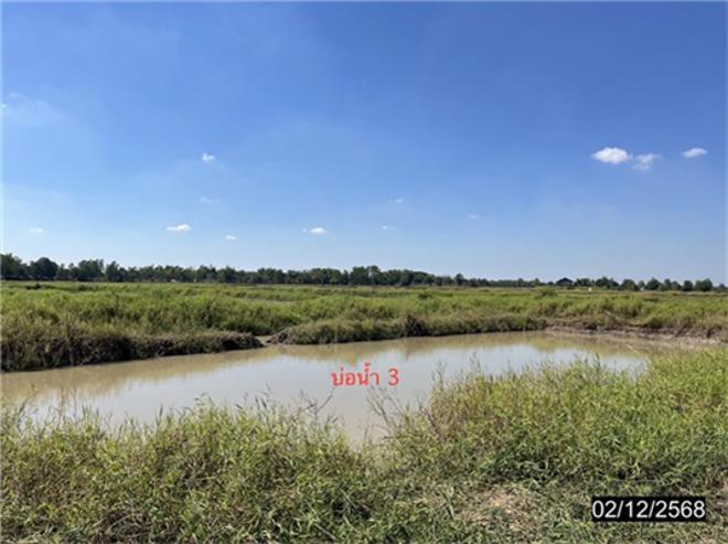รูป ที่ดินว่างเปล่า 2038 ตร.วา เมืองกาฬสินธุ์ กาฬสินธุ์ 858,000 - รูปที่ 7/23