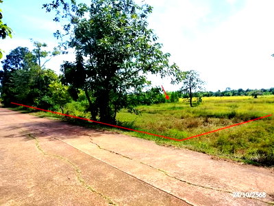 ขายที่ดิน : ที่ดินว่างเปล่า 4600 ตร.วา โพนนาแก้ว สกลนคร 2.9M
