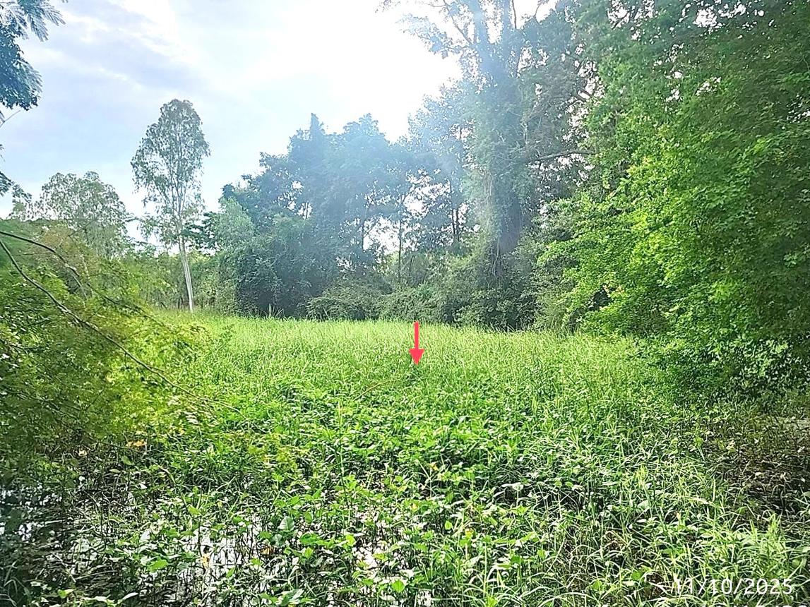 รูป ที่ดินว่างเปล่า 2368.3 ตร.วา เมืองมหาสารคาม มหาสารคาม 4.8M - รูปที่ 11/15
