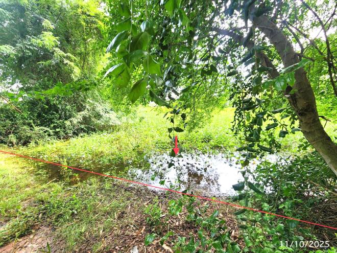 รูป ที่ดินว่างเปล่า 2368.3 ตร.วา เมืองมหาสารคาม มหาสารคาม 4.8M - รูปที่ 4/15