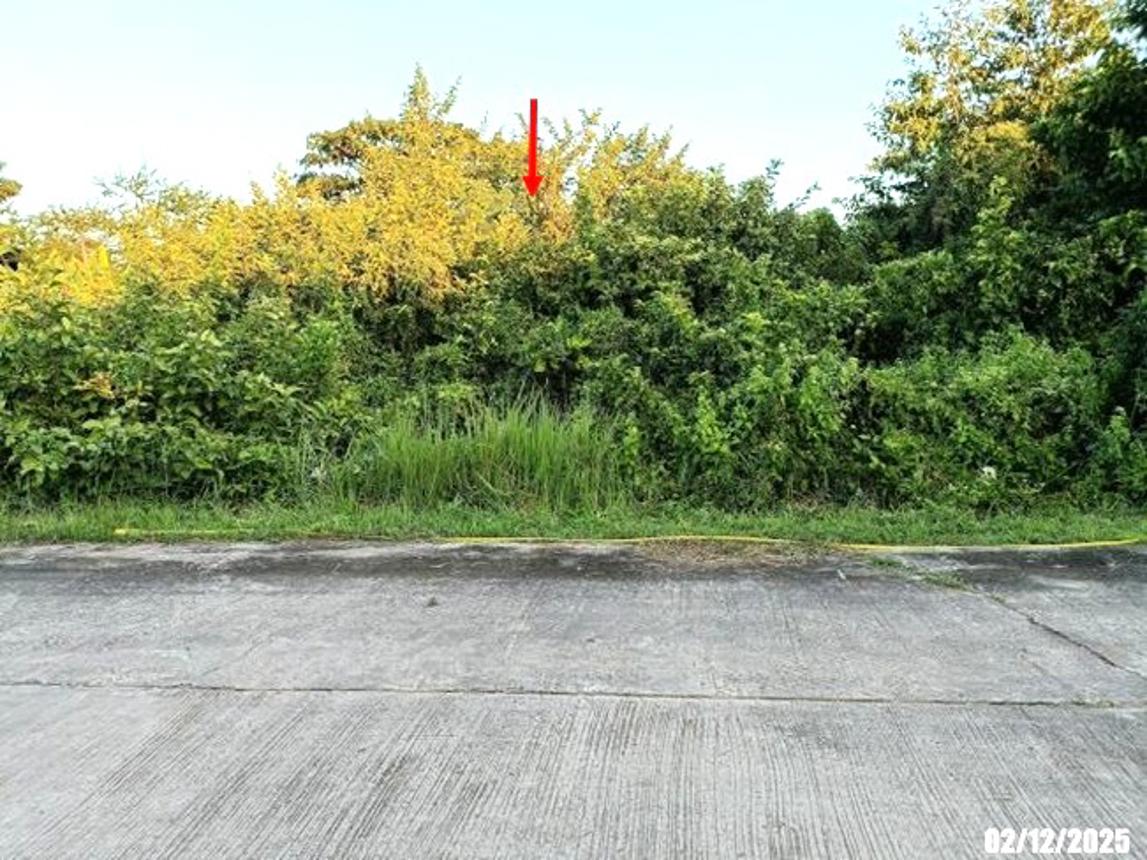 รูป ที่ดินว่างเปล่า 100 ตร.วา ศรีบุญเรือง หนองบัวลำภู 464,000 - รูปที่ 14/23